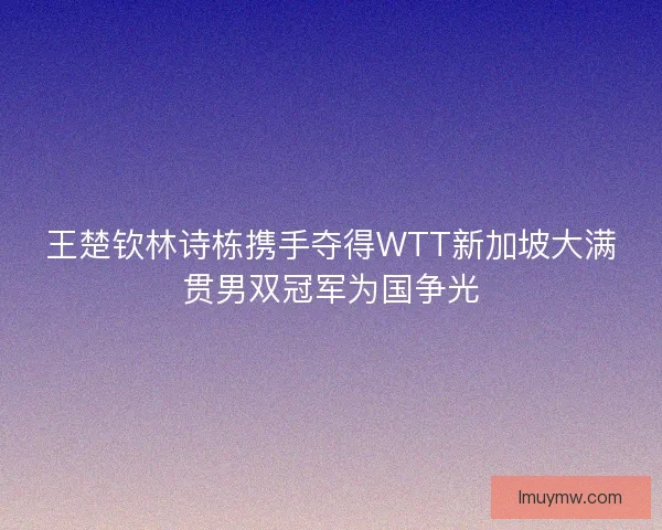 王楚钦林诗栋携手夺得WTT新加坡大满贯男双冠军为国争光
